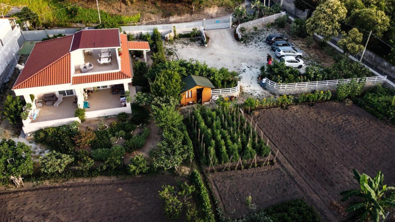 مبيت وإفطار بارغيليا Michelino House المظهر الخارجي الصورة