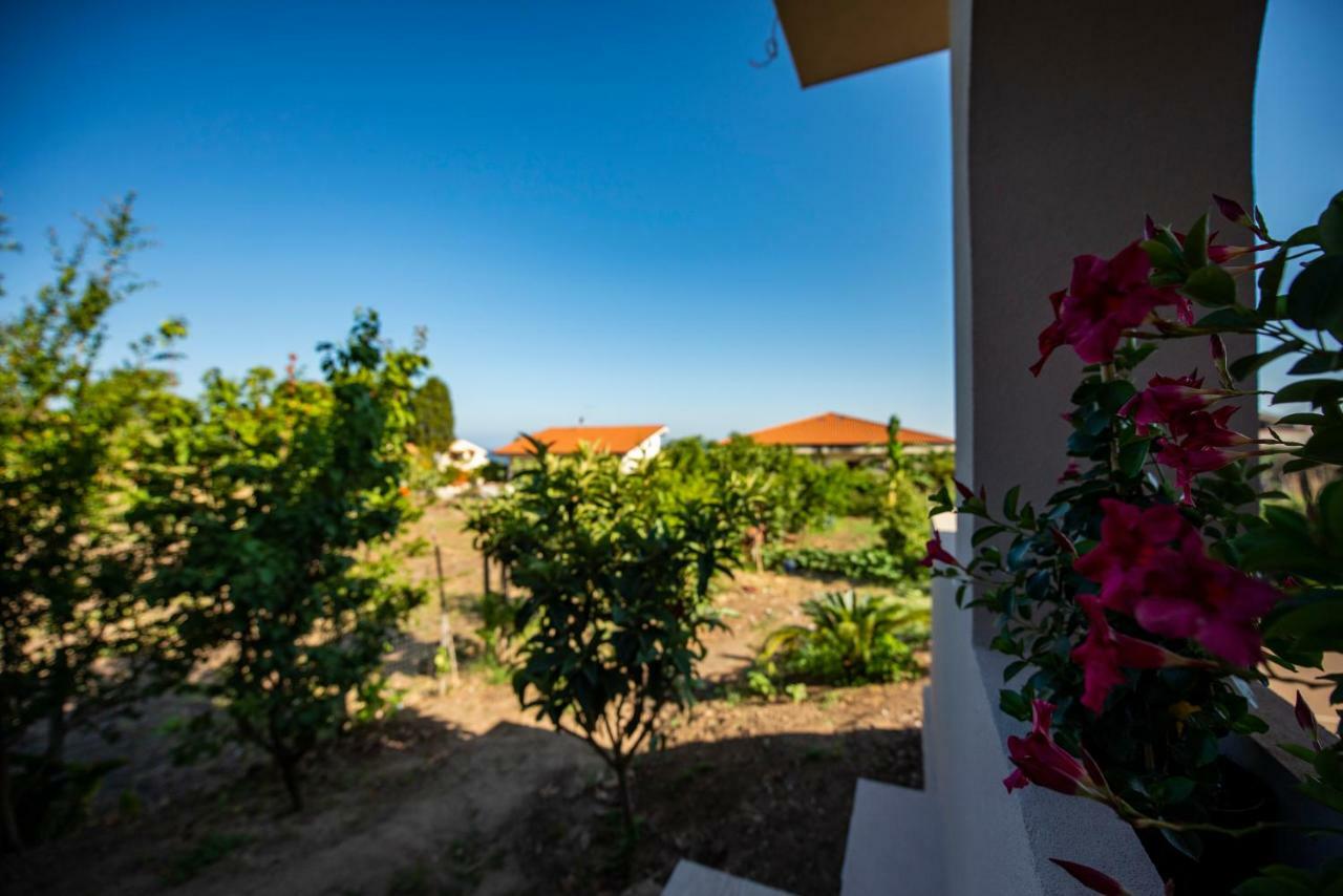 مبيت وإفطار بارغيليا Michelino House المظهر الخارجي الصورة